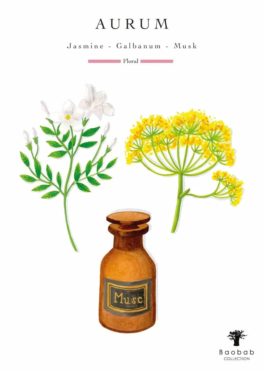 Baobab Collection Aurum Candle